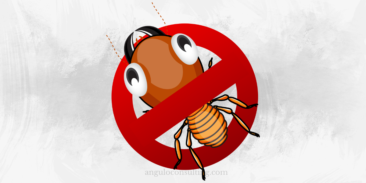 Regular Termite Inspections Will Protect Your Home