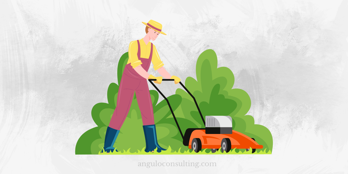 5 Lawn Maintenance Tips