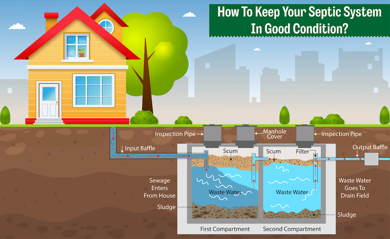 How to Find a Cesspool on an Unexplored Property