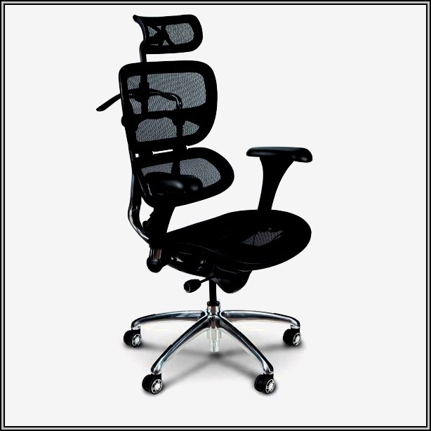 Ergonomic Desk Chair Back Support