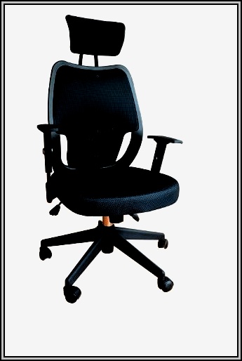 Ergonomic Desk Chair Cushion