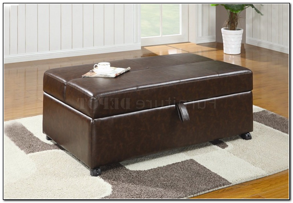 Fold Out Bed Ottoman