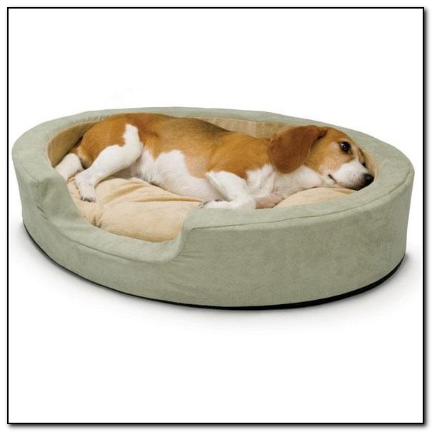 Outdoor Dog Beds For Winter