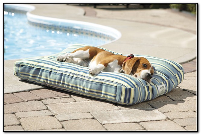 Outdoor Dog Beds Waterproof