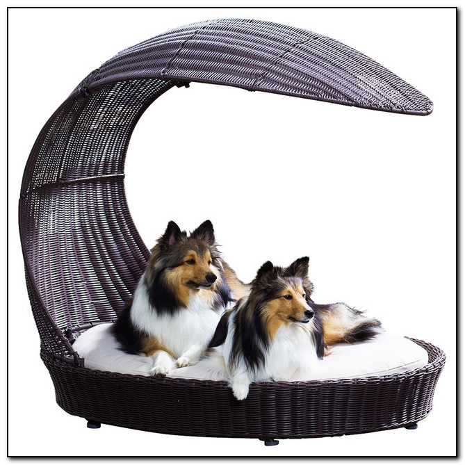 Outdoor Dog Beds With Canopy