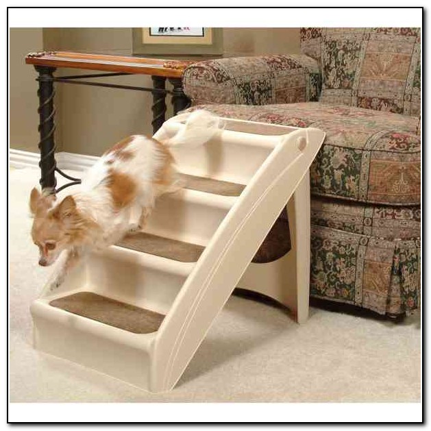 Raised Dog Beds With Stairs