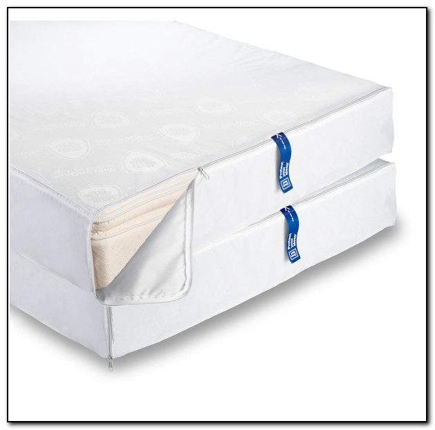 Bed Bug Mattress Covers Do They Work - Beds : Home Design  