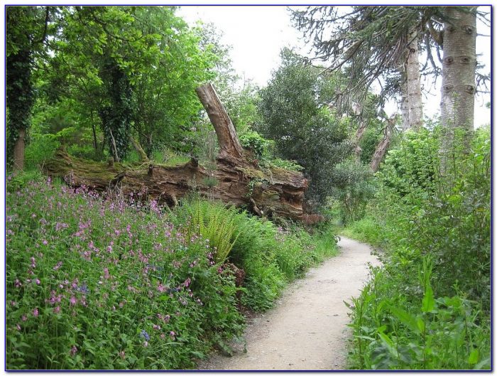 lost gardens of heligan sculptures 700x529