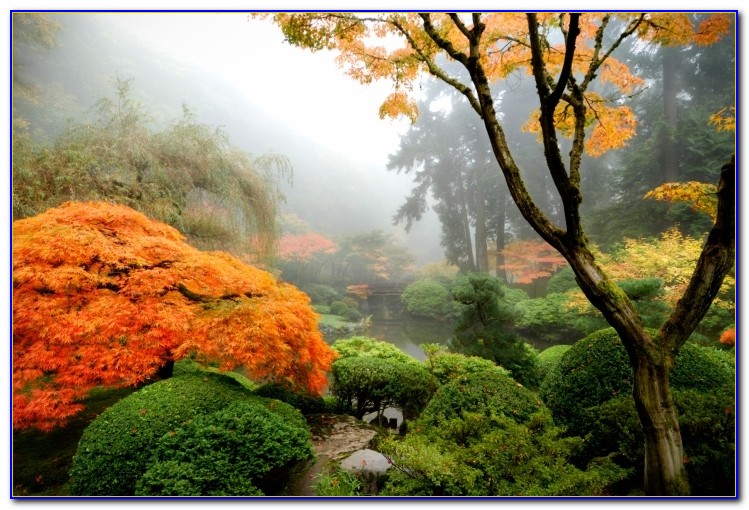 Japanese Garden Wedding Portland Oregon - Garden : Home Design Ideas # ...