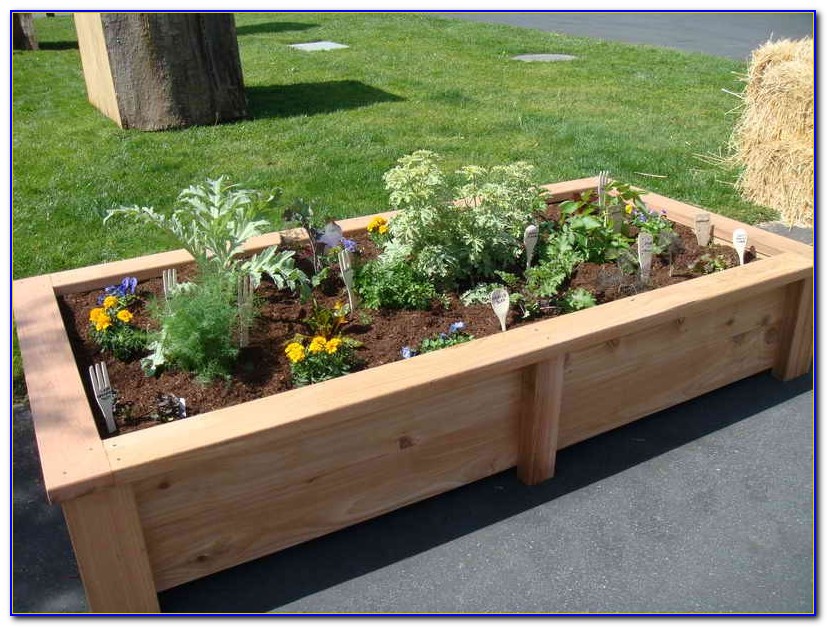 20+30+ Menards Raised Garden Bed – HOMYRACKS