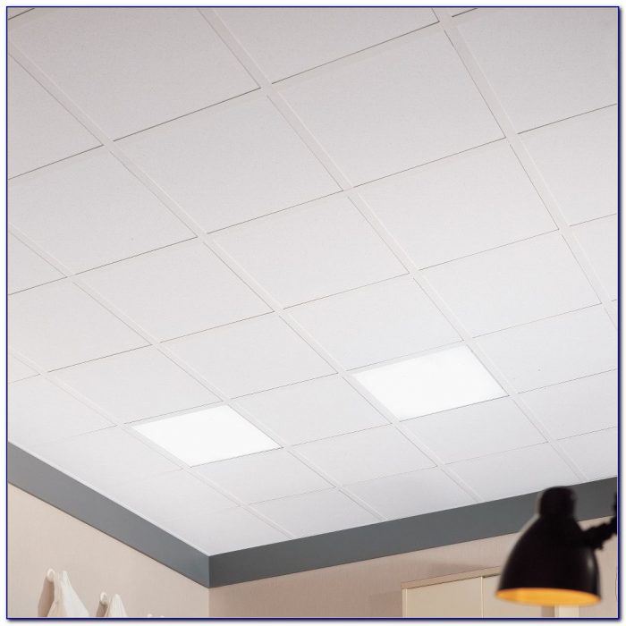 Clean Room Mylar Ceiling Tiles - Tiles : Home Design Ideas #EwP8k9AQyX70962