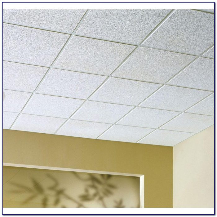 Types Of Drop Ceilings For Basements - Ceiling : Home Design Ideas ...